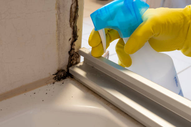 Certified Mold Removal in Crothersville, IN