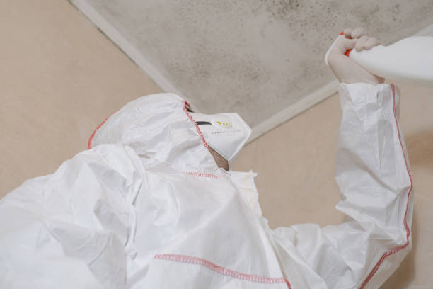 Mold Testing and Removal in Crothersville, IN