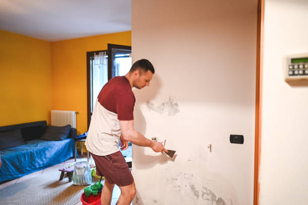 Best Mold Testing and Removal  in Crothersville, IN
